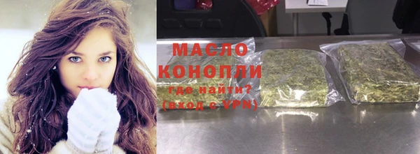 индика Бронницы
