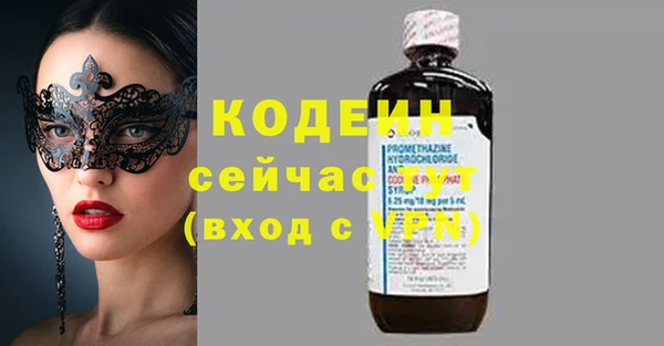 индика Бронницы