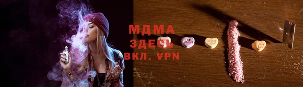 индика Бронницы