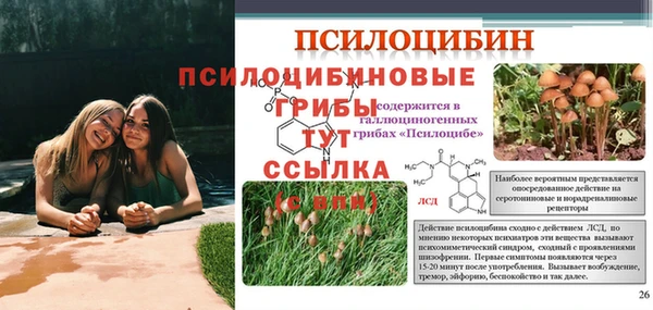 мяу мяу кристалл Бородино
