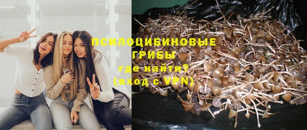 индика Бронницы