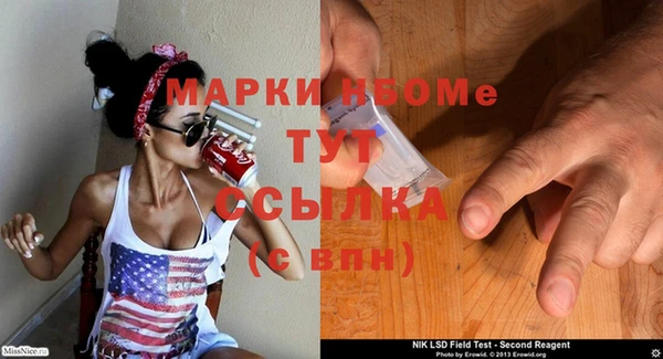 индика Бронницы