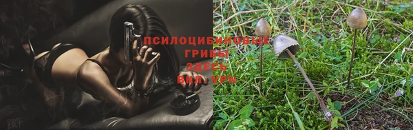соль курить ск Бугульма