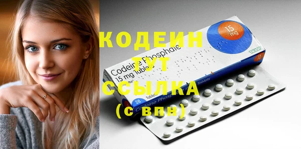 индика Бронницы