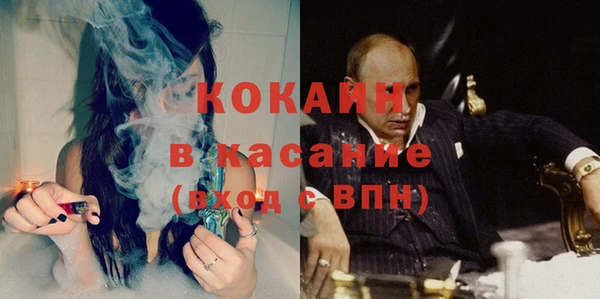 индика Бронницы