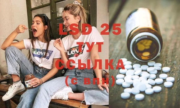индика Бронницы
