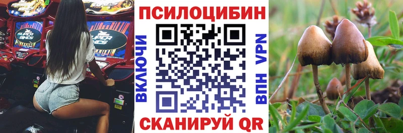 Купить где  Почеп  Галлюциногенные грибы ЛСД 